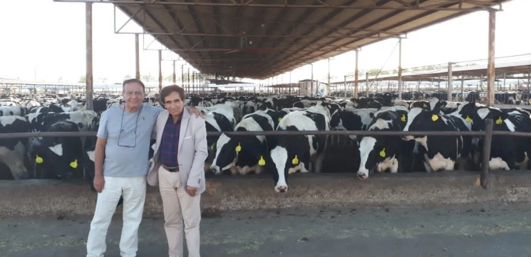 36
